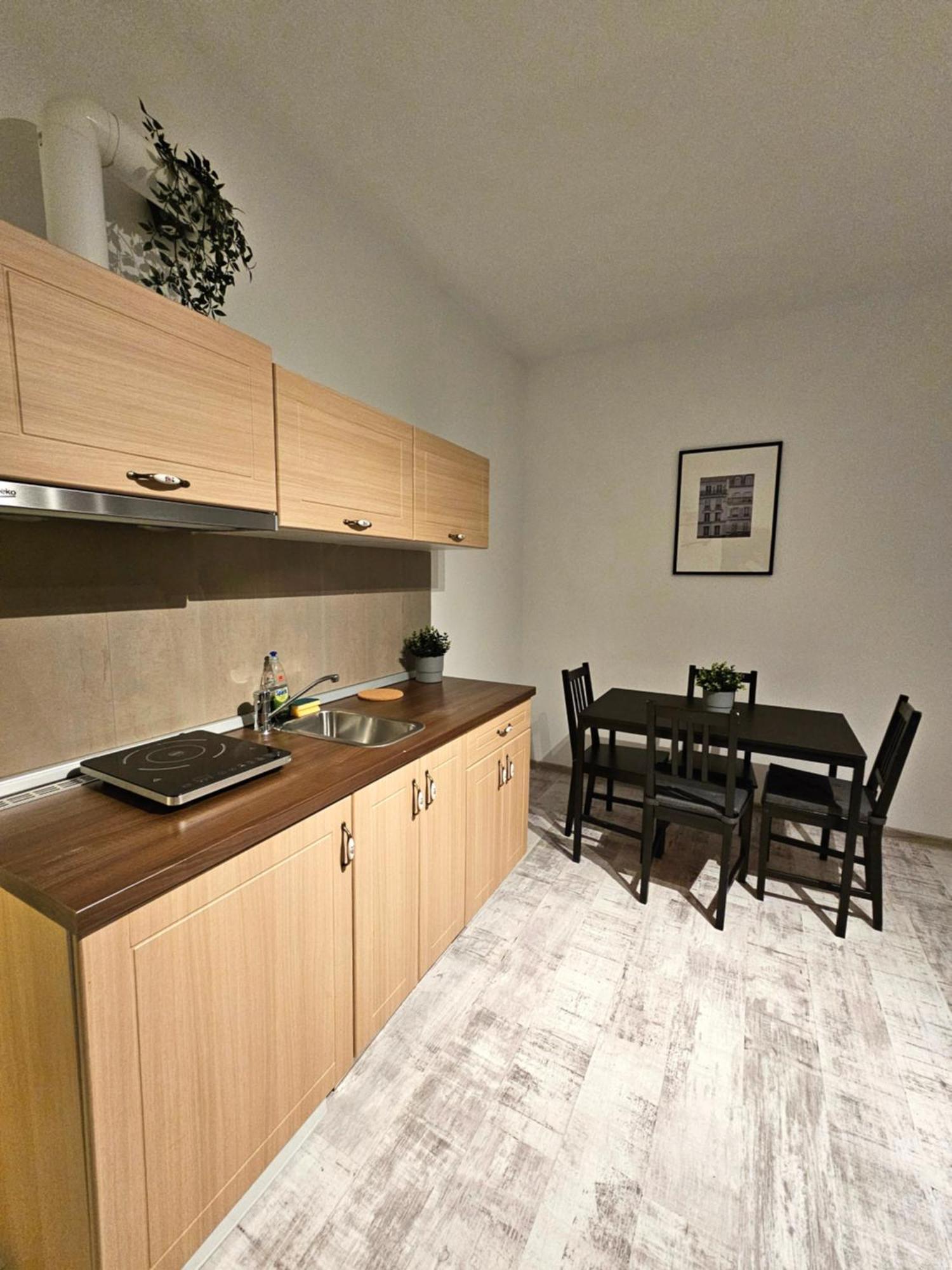 Color Apartments Old Town Center 부쿠레슈티 외부 사진